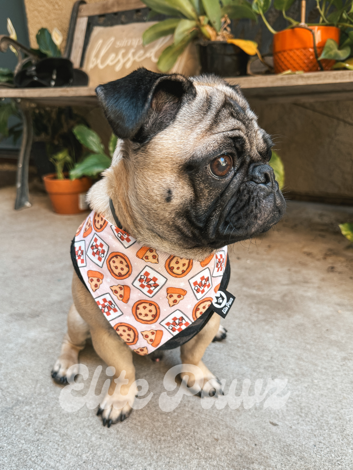 Will Run for Pizza