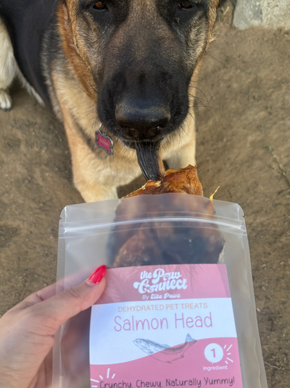 Wild Salmon Head