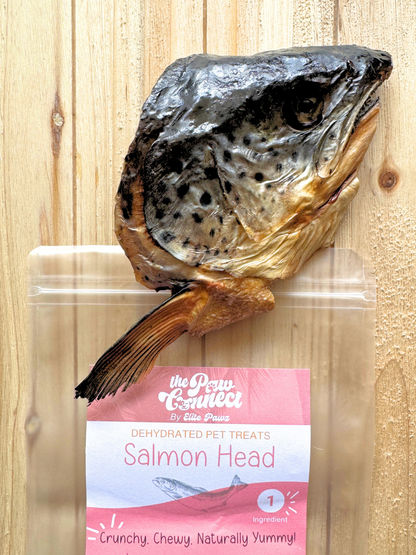Wild Salmon Head