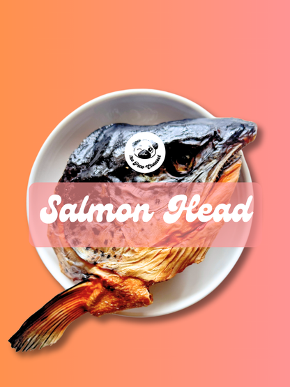 Wild Salmon Head